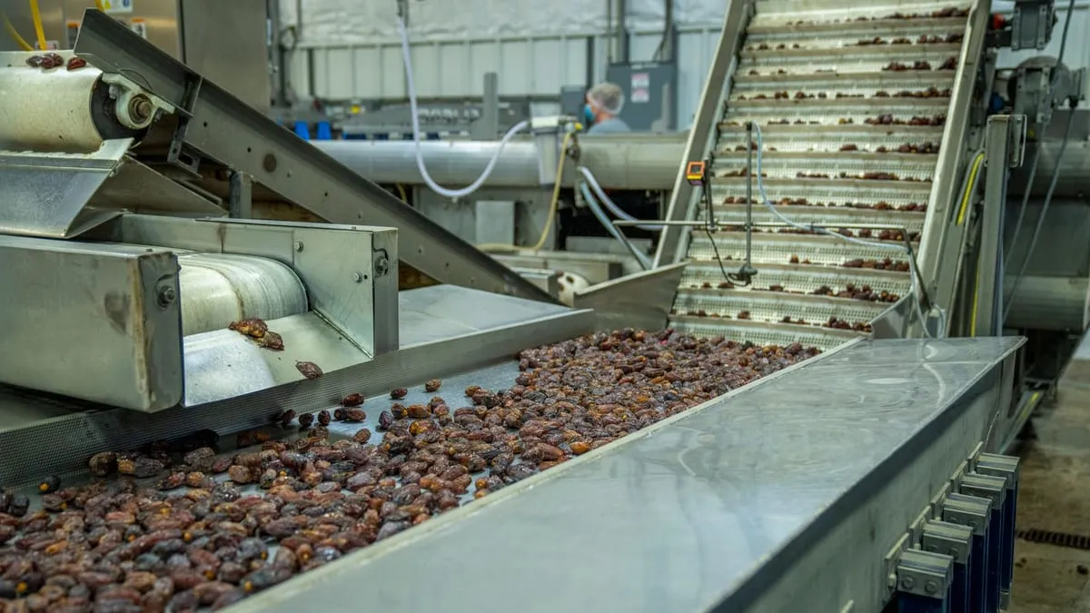 Food processing conveyor line in a production facility